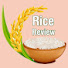 rL6eN76n5eU-channel-avatar-Rice Review