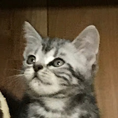 ろせエリカ