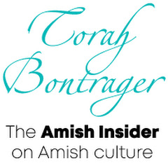 Amish Insider: Amish Life, Culture, Education