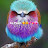 @silvermoon365-b1s