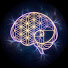 DbGCeMc7MiU-channel-avatar-Immersive Neuro Art