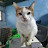 @CatKat-u8s