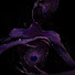 ImHwzGkCWKo-channel-avatar-GalaxyManTextingStories