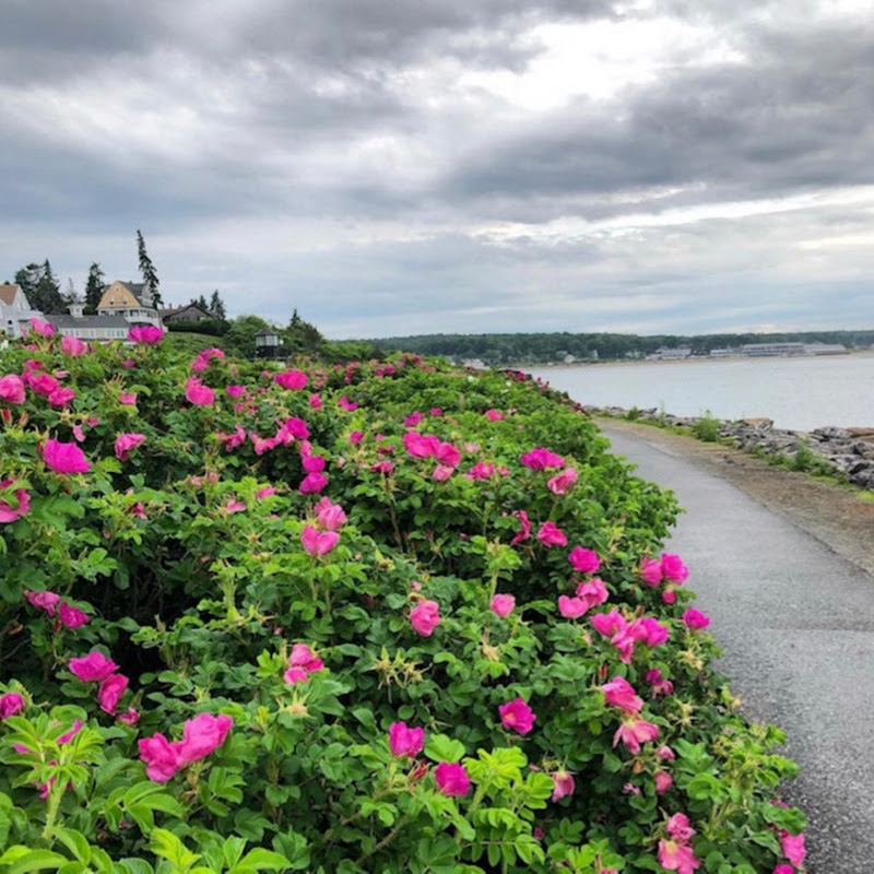 Marginal Way Preservation Fund logo