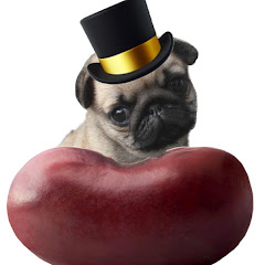 PugslikeBeans