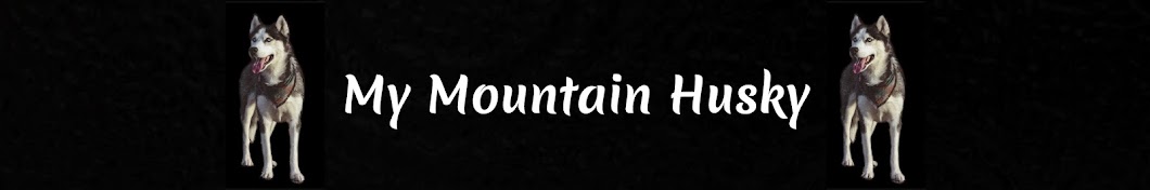 My Mountain Husky Awatar kanału YouTube