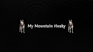 Заставка Ютуб-канала «My Mountain Husky»