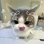 Queena 🐈‍⬛ིྀ