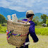 P_hXwAHK0qU-channel-avatar-วิถีลาวเหนือ ວິຖີລາວເໜືອ