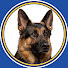 CBnqu_4kvRE-channel-avatar-Tail Tell and Barkspective