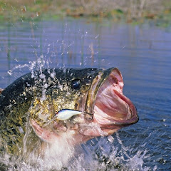 BETTER B FISHING Better than working