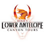 Dixie's Lower Antelope Canyon Tours - Page Arizona logo
