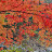 @호호-m7l-e9w