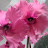 @보라보라-u8c