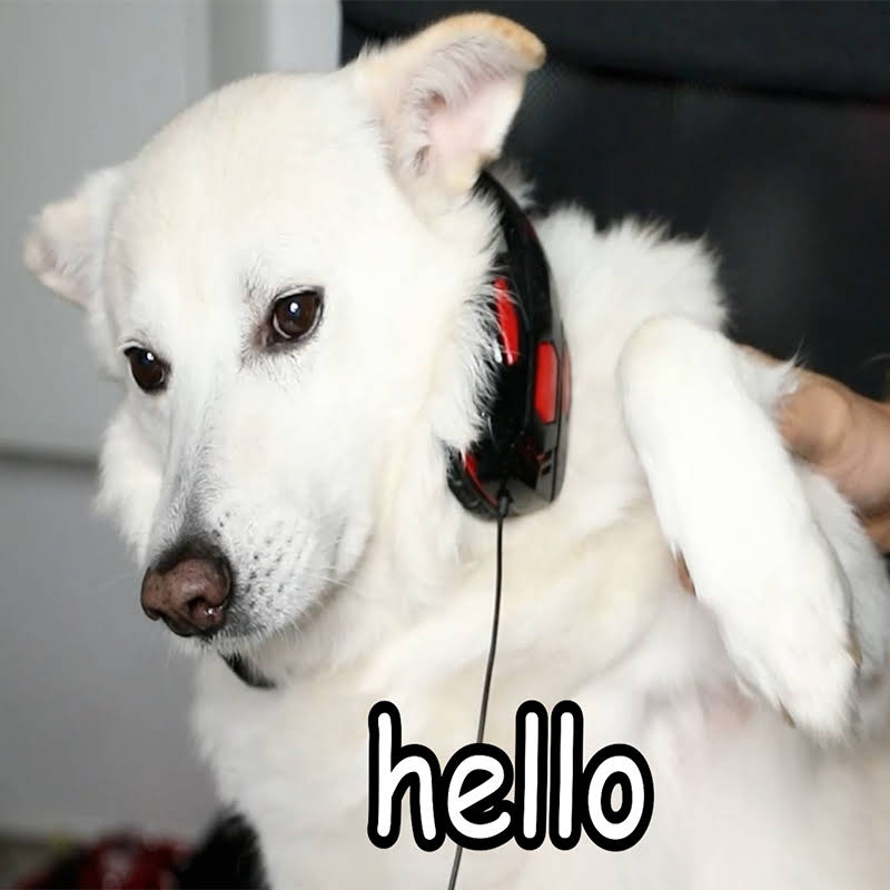 Post from MessYourself