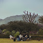 MITRAZ Image Thumbnail