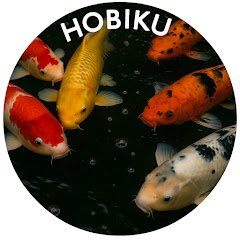 Channel thumbnail for Hobiku