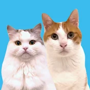 ゆるねこアニメ