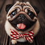 Cute Pug Trivia Fun logo