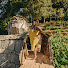 3BiA_ge6VVg-channel-avatar-The Lady Who Travels