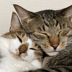 鉄塔の画像
