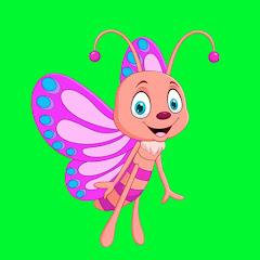 Colored Butterfly avatar