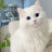 @MirmasoodReza