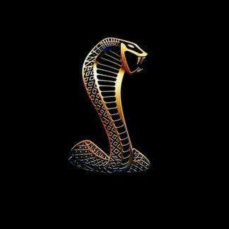 Mustang / Muscle (USA)