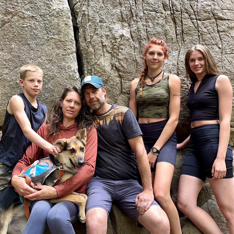 Lumber Capital Log Yard