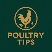 Poultry Tips