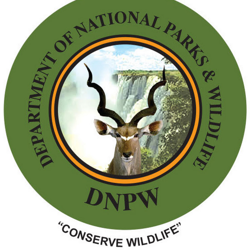 Department Of National Parks And Wlidlife Zambia avatar