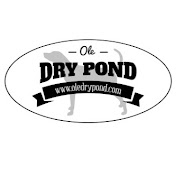 Ole Dry Pond