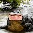 BPiEJ4OHMSE-channel-avatar-Animal Factor