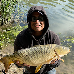 Bites and Reels