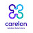 Carelon Global Solutions Ireland