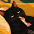 leQjHXX66CA-channel-avatar-Loafing Hours Jazz