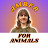 Amber For Animals