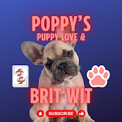Poppys Puppy Love 💕🐾