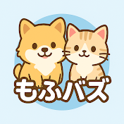 もふバズ