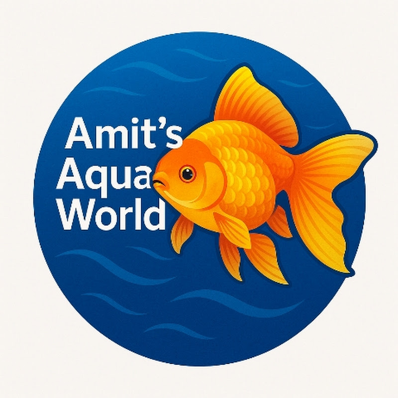 Amit’s Aqua World