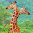 @cuaruaocsen Avatar