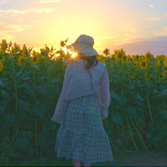 Saran - life in Japan