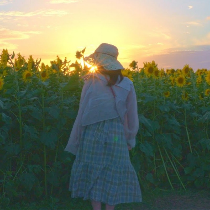 Saran - life in Japan