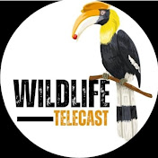 Wildlife Telecast