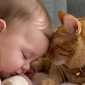 baby&animal