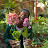 Gardening with kansiime