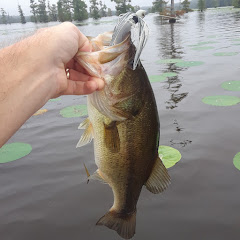 Ark-La-Tex Angler