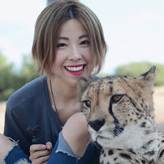 TravelStory生菜火山闯世界アイコン画像