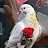 @imanemarhaben4549