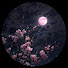 USNJCXMCYKk-channel-avatar-singh0921